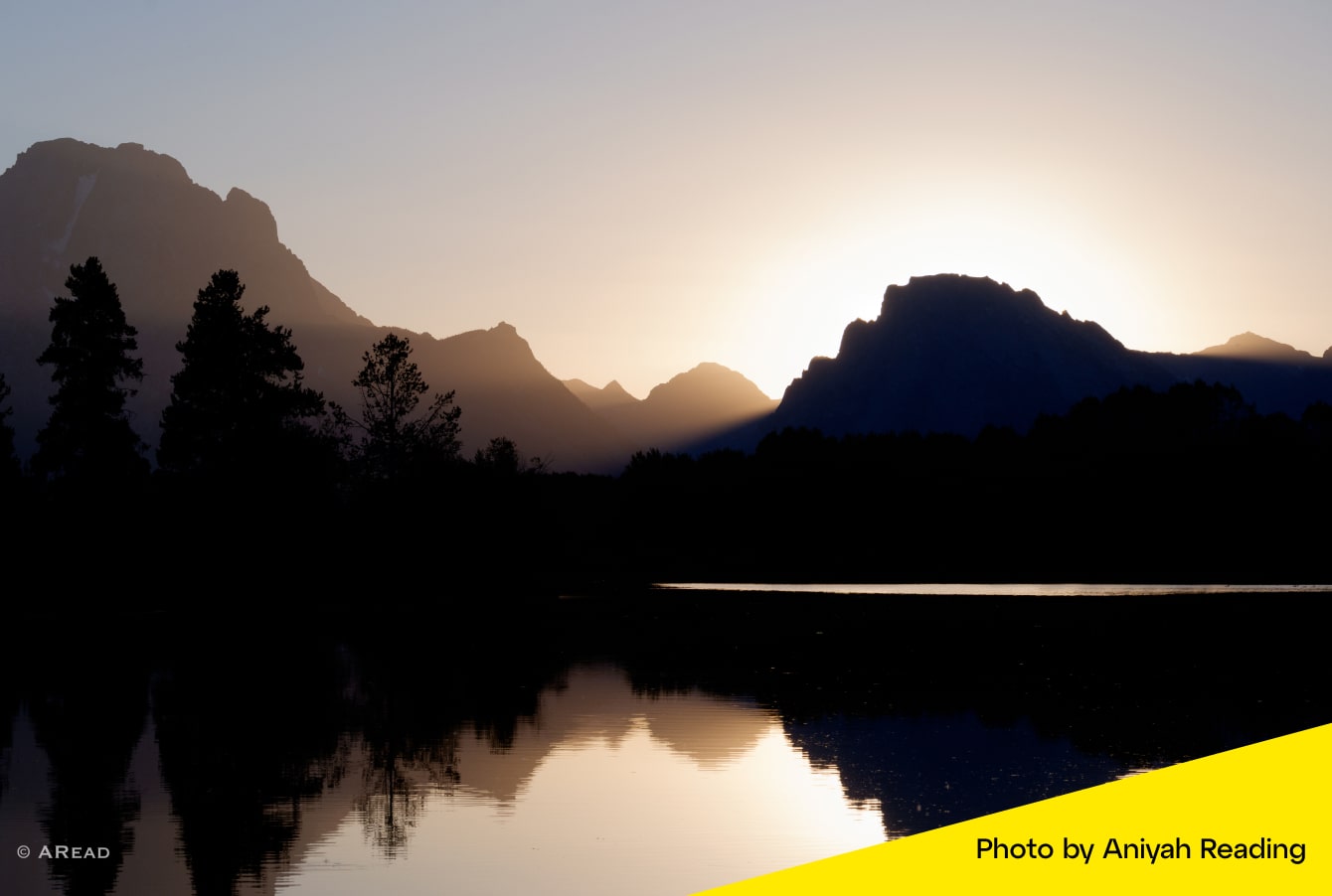 Passie en doel in balans brengen met Aniyah Reading